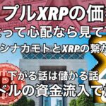 ビットコイン8億ドルの資金流入 リップルXRPの価格下落が心配なら見て下さい サトシナカモトとリップルの関係 − アフィリエイト動画まとめ